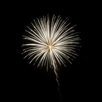 Digital Health New Year Predictions